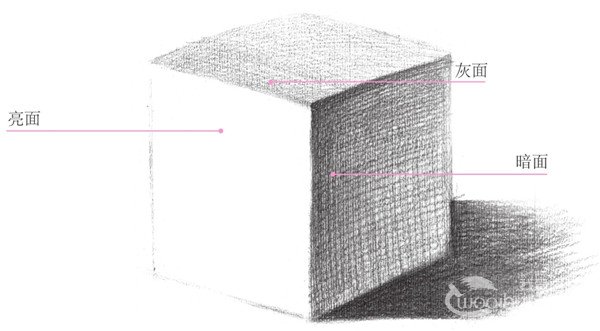 素描正方体